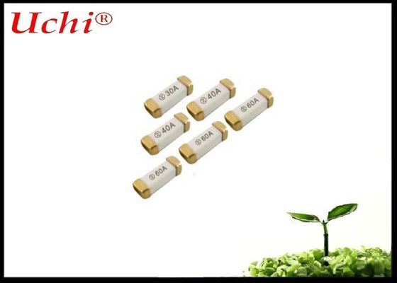 Γρήγορης Δράσης Κεραμική Ασφάλεια 2A 250V